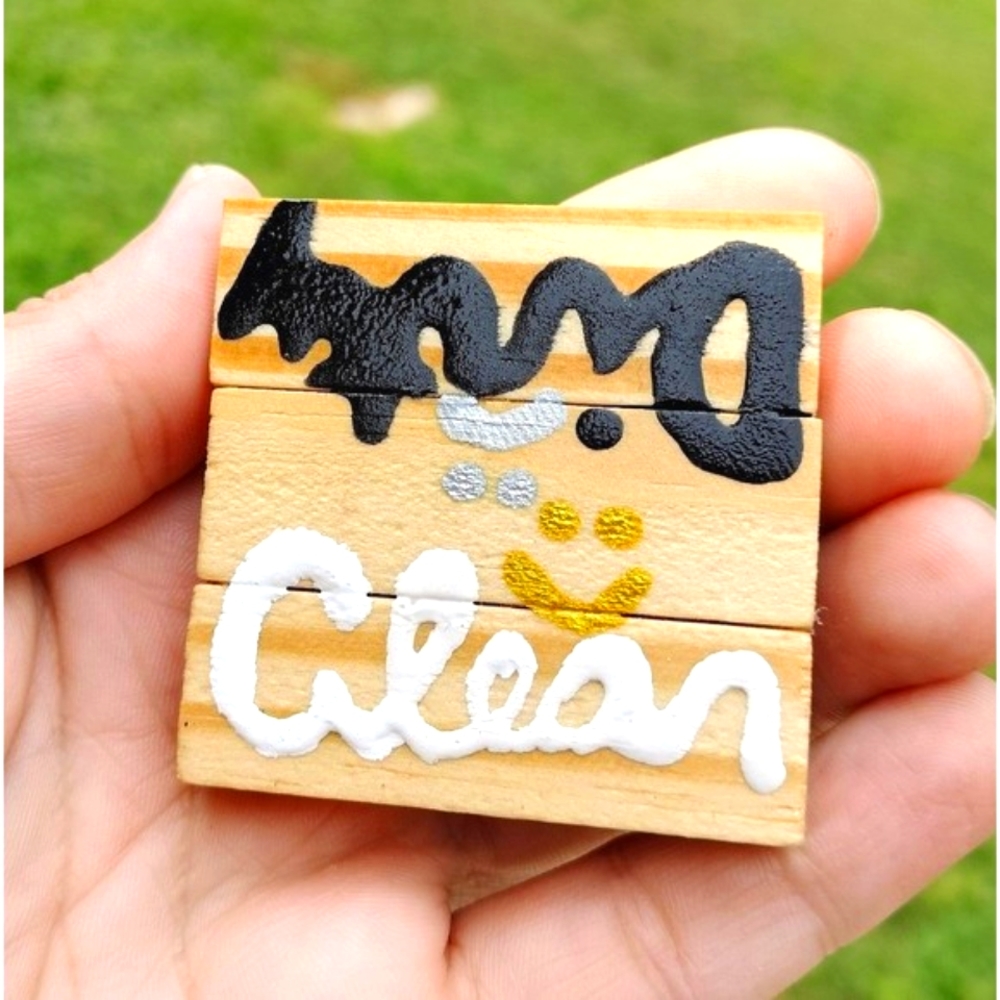 Unique Dishwasher Magnet